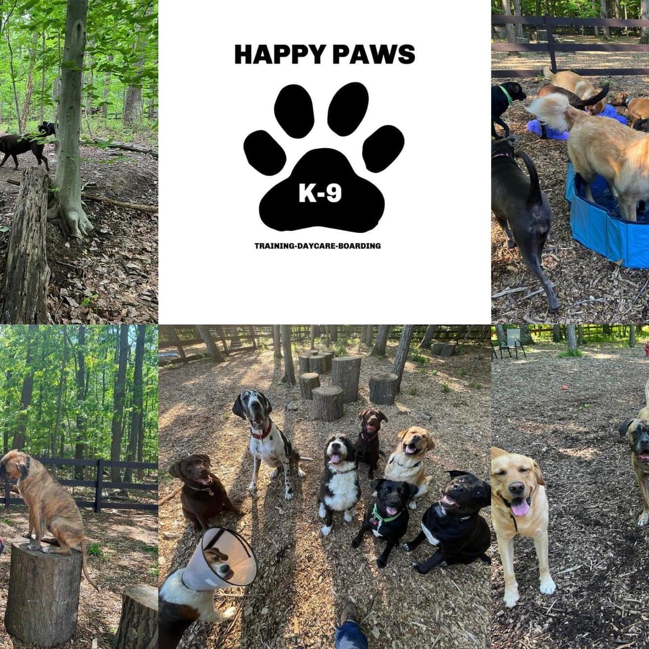 Dog Training, Dog Boarding & Daycare in Leesburg, VA Happy Paws K9